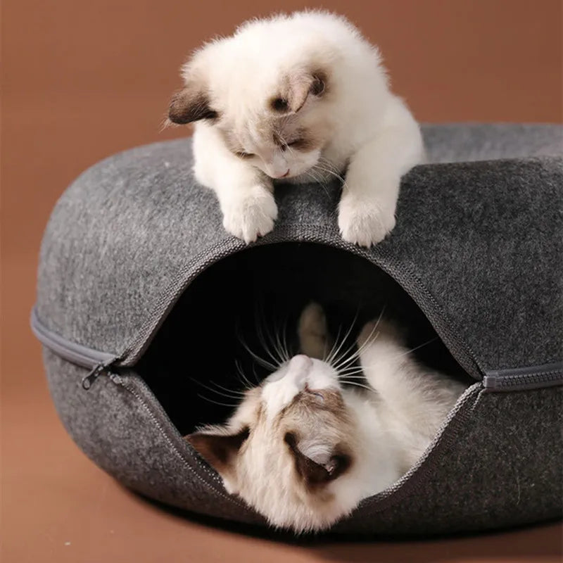 Cat Donut Tunnel