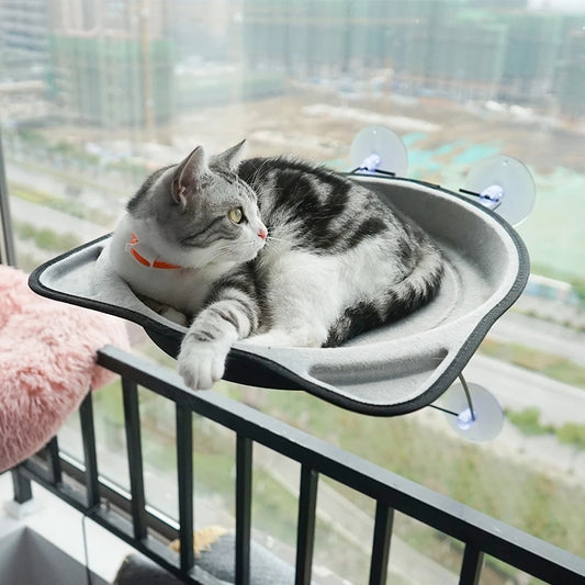 Window Hammock