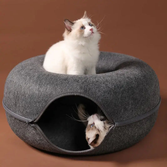 Cat Donut Tunnel