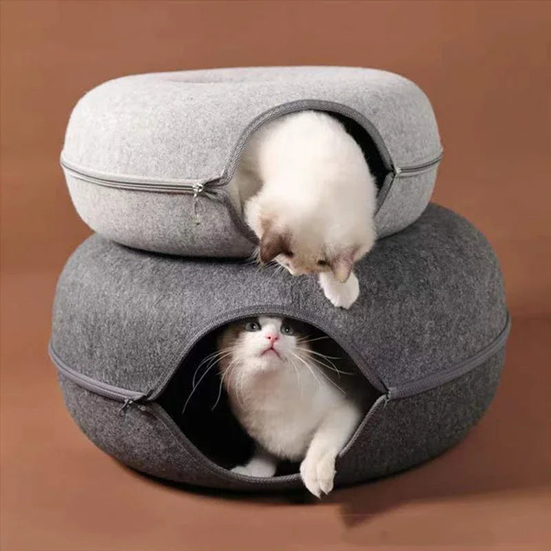 Cat Donut Tunnel