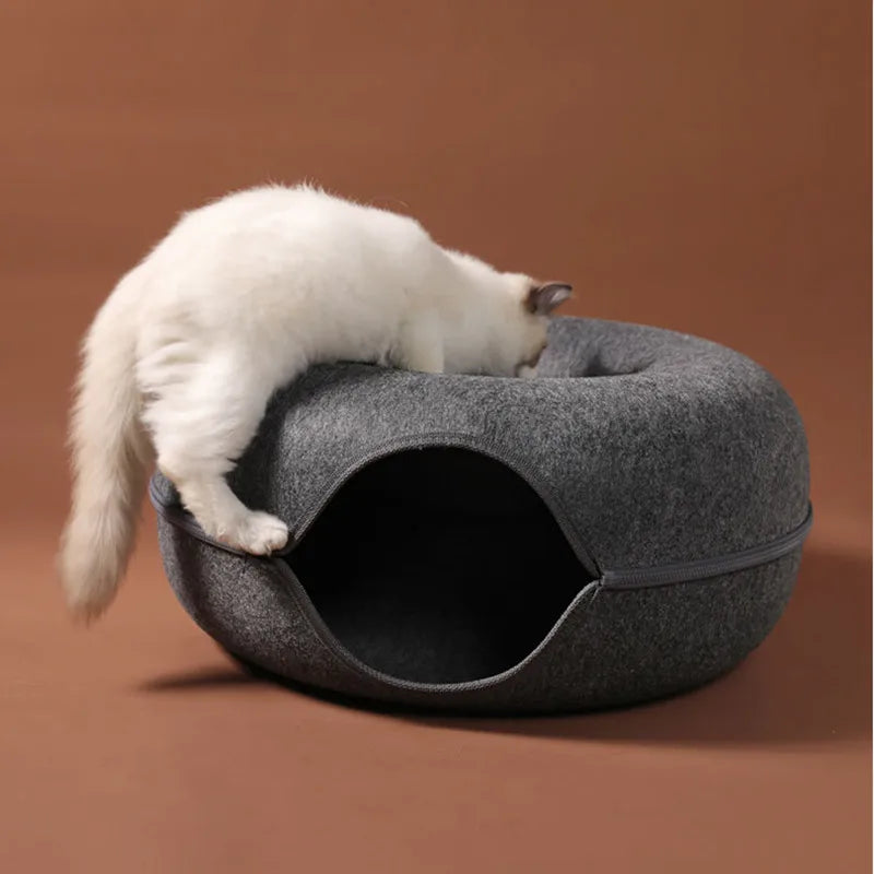 Cat Donut Tunnel