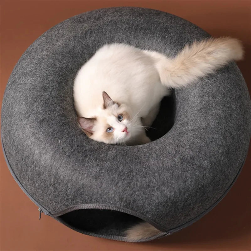 Cat Donut Tunnel